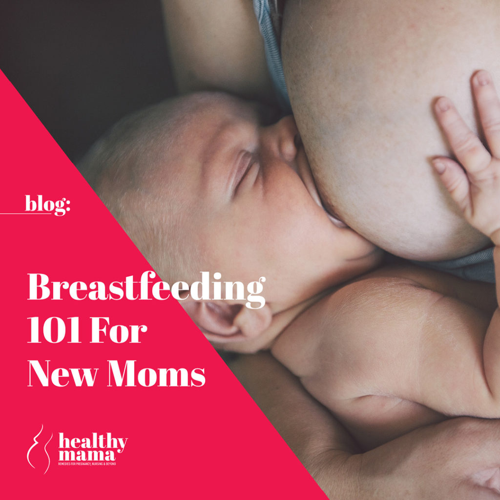 Breastfeeding 101 Healthy Mama Brand